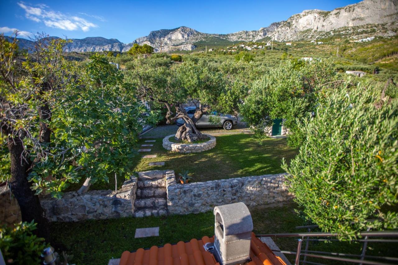 Villa OLD OLIVE, 3lovelyvillas Podgora Kültér fotó