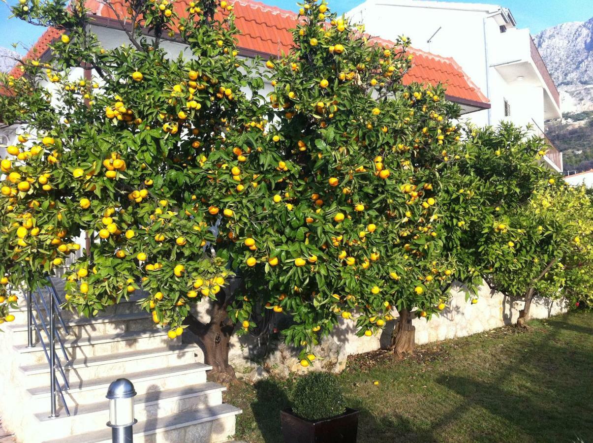 Villa OLD OLIVE, 3lovelyvillas Podgora Kültér fotó